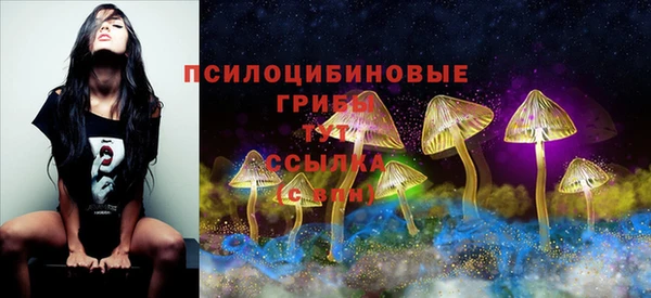 метамфетамин Каменка