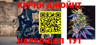 прущие грибы Комсомольск-на-Амуре