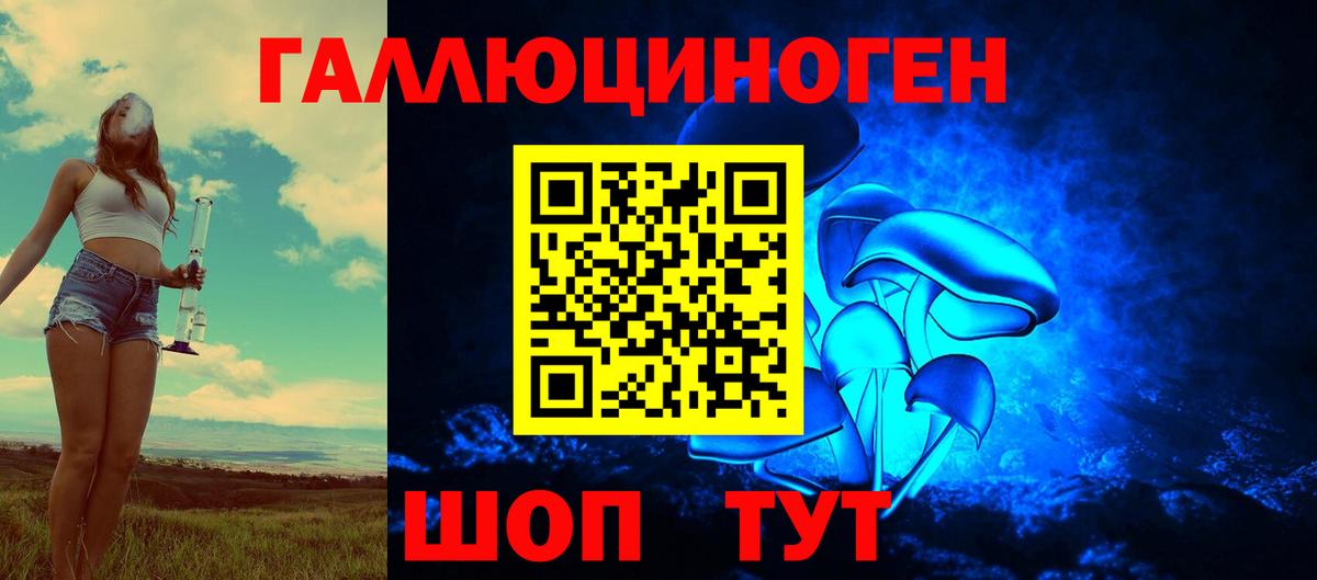Псилоцибиновые грибы Cubensis Карталы