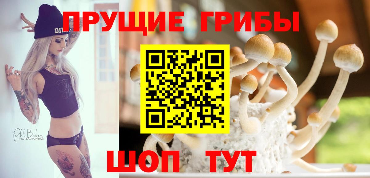 Псилоцибиновые грибы Psilocybe  Вход с VPN  Карталы 